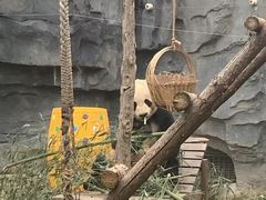 -五龙山野生动物王国