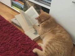 -弄堂里(雨花客厅店)