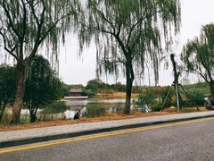 -紫金山山顶公园