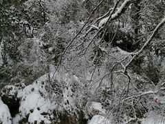 -龙苍沟森林公园
