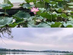 -颐和园