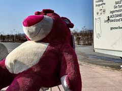 -南汇嘴观海公园