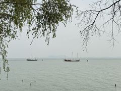 -贡湖湾湿地公园
