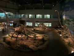 -自贡恐龙博物馆