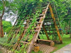 -中国科学院西双版纳热带植物园