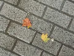 -老大昌(淮海中路店)