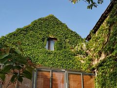 -长兴菜馆(高桥店)