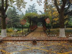 -山东大学(千佛山校区)