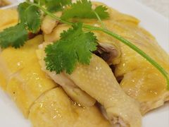 -巫记鸡饭店