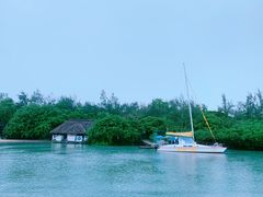 -塞尔夫岛