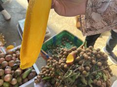 -三亚新鸿港水果一级批发市场