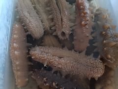 -宫品海参专卖店(静安大宁店)