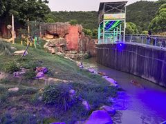 -无锡动物园·太湖欢乐园