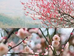 -蒋氏故居