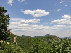 -大岭沟猕猴桃谷风景区