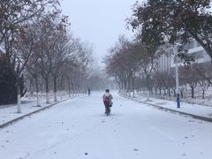 -哈尔滨工业大学(威海校区)