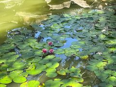 -水浒好汉城