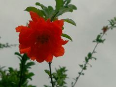 -首创奥特莱斯(昆山店)