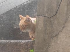 -宝通禅寺