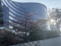 -深圳大梅沙京基洲际度假酒店