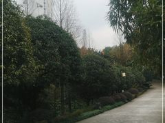 -大渡口区义渡公园