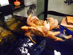 -蟹道乐(道顿堀本店)