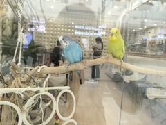 -万达广场(北京槐房店)