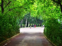 -淇河国家湿地公园