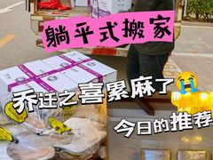 -骆驼日式搬家收纳整理