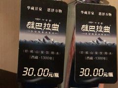 -成都明宇丽雅饭店