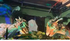 -恐龙探索乐园(磁器口店)