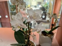 -二酉书店TOYOU BOOKS