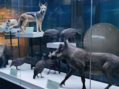 -国家自然博物馆