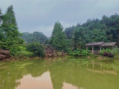 -铁山坪森林公园