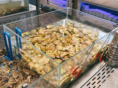 -半岛听涛蒸汽海鲜自助(K11店)