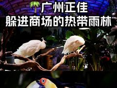 -正佳雨林生态植物园