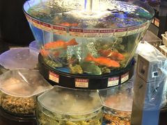 -陶陶居海鲜酒家(新马路店)