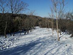 -北京西山国家森林公园