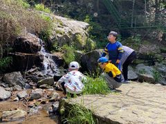 -藏龙百瀑风景区