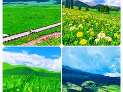 -新疆那拉提国家旅游度假区
