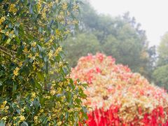 -狼山风景名胜区