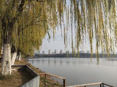 -艾溪湖湿地公园