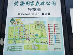 -黄海国家森林公园