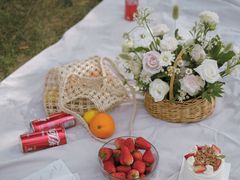 -铁山坪森林公园