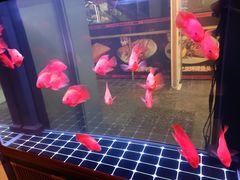 -火塘云南烧烤大排档