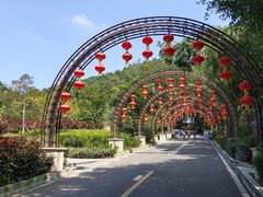 -大屏嶂森林公园