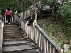 -帽儿山国家森林公园