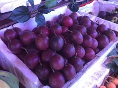 -城南综合水果批发市场(花园路店)