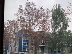 -济南市胜利大街小学