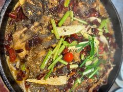 -老板恋上鱼(恒隆广场店)